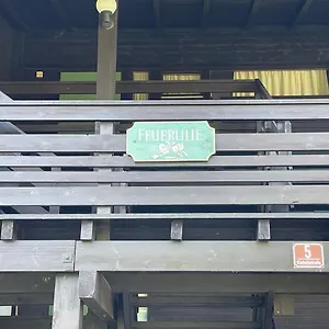 5 Apartment